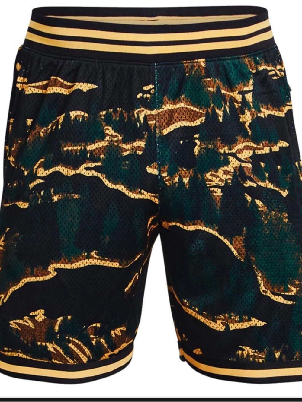 Under Armour Steph Curry Camo Mesh Short 1